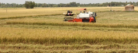 Cơ giới hóa nông nghiệp giúp hạt lúa vươn xa. Ngoài ra, Tam Bình còn đẩy mạnh trồng lúa hữu cơ, nâng cao chất lượng nông sản. Ảnh: VINH HIỂN