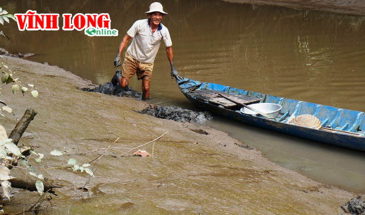 Với kinh nghiệm quan sát, người đàn ông này dễ dàng bắt được rất nhiều cá kèo khi nước ròng, trơ bãi đất hai mé sông.