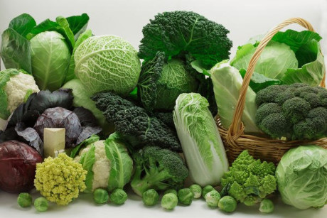 Các loại rau họ cải: Những loại rau này gồm cải bắp, súp lơ xanh, su hào. Chúng chứa nhiều chất chống oxy hóa, giúp loại bỏ tất cả các loại độc tố và giải độc phổi.