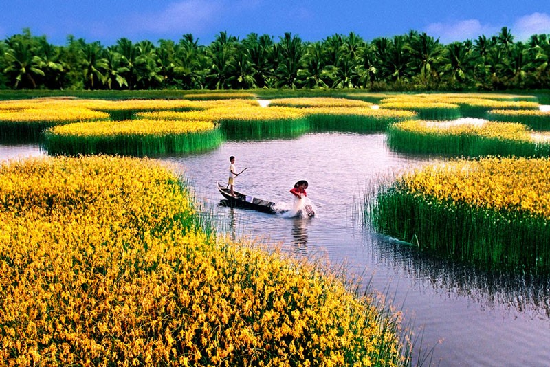 ĐBSCL là một bộ phận của châu thổ sông Mê Kông có diện tích 39.734 km2. Ảnh: Nguyễn Thanh Dũng.
