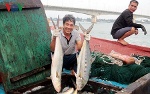 Một ngư dân Quảng Trị trúng mẻ cá bè vàng trị giá 5 tỷ đồng