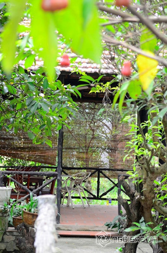 Căn nhà của Việt Trinh được bảo phủ bởi màu xanh mát của trái cây hoa láquanh năm