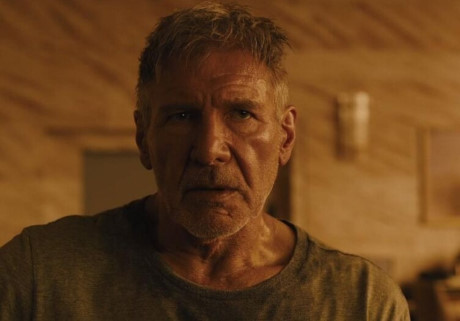 Phim có sự trở lại của Deckard (Harrison Ford) – người hùng săn Replicant nhưng trớ trêu thay anh lại ngã lòng vì một người đẹp Replicant khác.