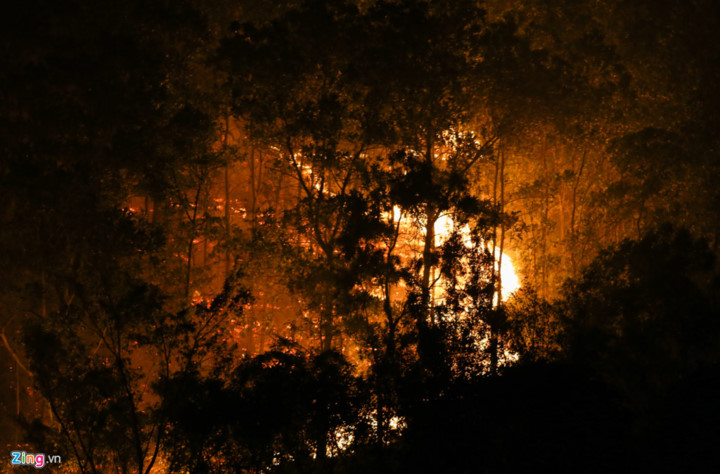 Nguyên nhân ban đầu của vụ cháy được xác định là do nắng nóng nên độ ẩm thấp, cây cối dễ bắt lửa.