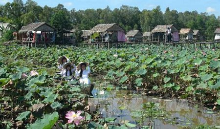 Khách du lịch tham quan và chụp ảnh tại Khu du lịch sinh thái Đồng Sen, huyện Tháp Mười, tỉnh Đồng Tháp.