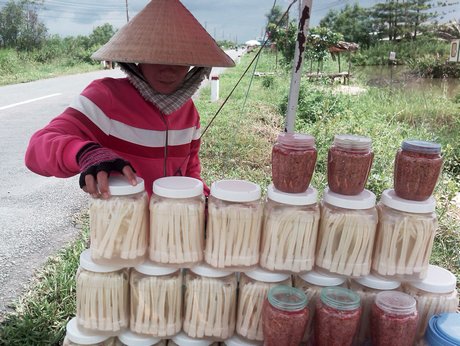  Cây bồn bồn đem lại nguồn lợi kinh tết khá cao cho bà con nông dân trên địa bàn huyện Cái Nước.