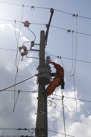 Điện lực Vĩnh Long tập huấn thực hiện an toàn lao động và an toàn lưới điện tại huyện Long Hồ.