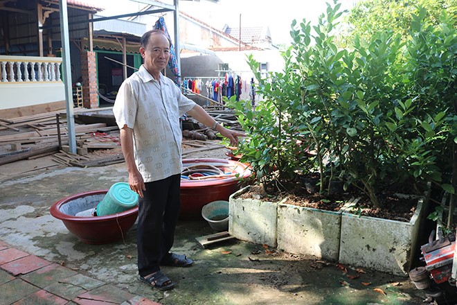 Ông Thum trồng chanh trong thùng xốp tận dụng được diện tích sân nhà