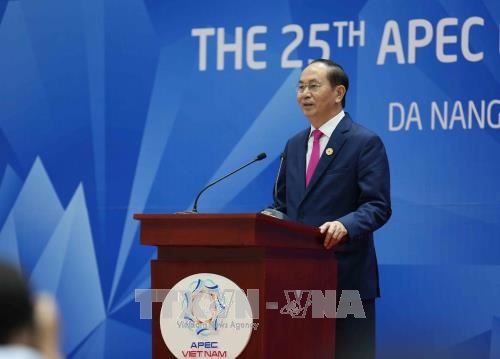 Chủ tịch nước Trần Đại Quang, Chủ tịch Hội nghị Cấp cao APEC lần thứ 25 chủ trì Họp báo Quốc tế Hội nghị các Nhà lãnh đạo Kinh tế APEC lần thứ 25, chiều 11/11.