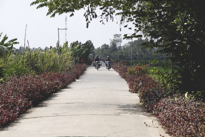 Trên 163 km đường giao thông đạt chuẩn và 15 công trình cầu, cống được đầu tư xây dựng trên địa bàn 5 xã (Ảnh: Đường giao thông nông thôn xã Thuận An được trồng hoa hai bên đường rất đẹp)