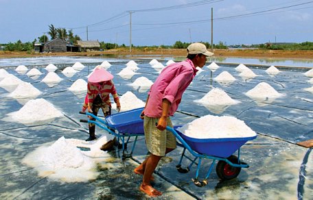 Việc áp dụng tấm trải bạt vào sản xuất muối giúp tăng sản lượng từ 10-12% so với cách làm muối truyền thống.
