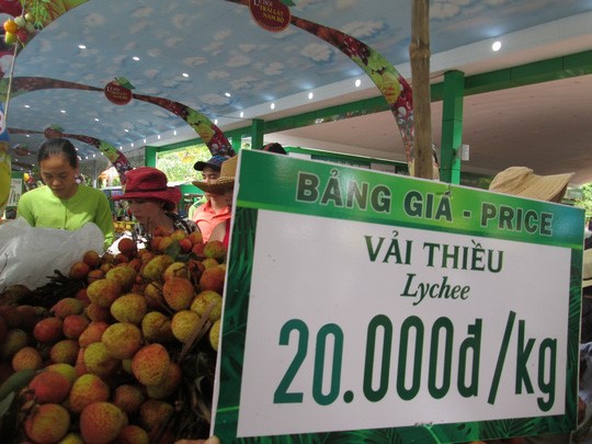 Trái vải chín sớm được bán tại Lễ hội trái cây Nam Bộ chỉ 20.000 đồng/kg