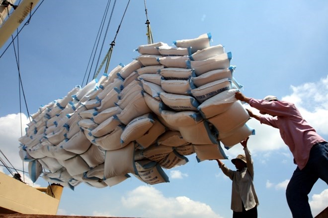 Sau 6 tháng, xuất khẩu gạo ước tăng 44,3% về kim ngạch đạt trị giá 1,84 tỷ USD. (Ảnh: TTXVN)