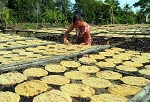 Cà Mau: Làm chuối khô, nhà nông xứ này thu tiền 