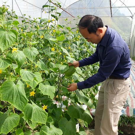 Anh Đào Ngọc Sơn trồng rau thủy canh từ năm 2017