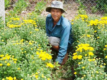 Trồng hoa cho thu nhập cao. Trong ảnh: Một nông dân trồng hoa ở xã Trường An.