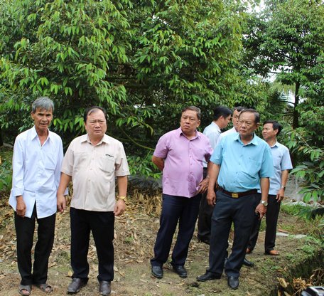Phó Bí thư Tỉnh ủy, Chủ tịch UBND tỉnh- Nguyễn Văn Quang (người thứ 2 từ trái qua) thăm mô hình trồng sầu riêng của chú Nguyễn Thanh Long.