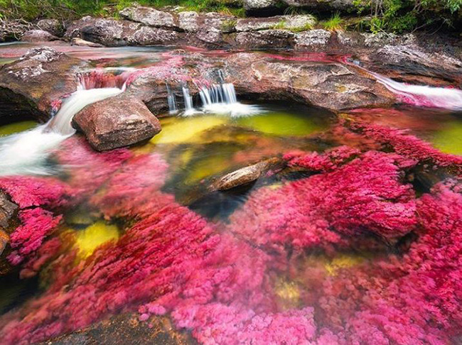 Dòng Sông 5 màu sắc, Colombia