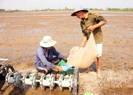 Vụ lúa Đông Xuân 2019- 2020 đối mặt nhiều thách thức.