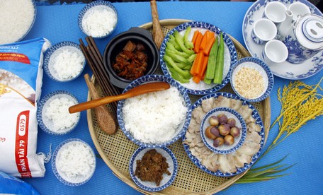 Gạo được nấu thành cơm và được trình bày bắt mắt.