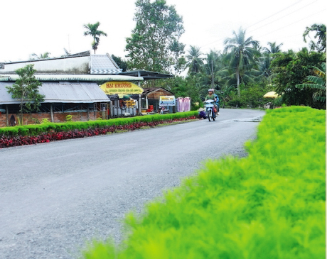 Qua 50 năm thực hiện Di chúc Hồ Chí Minh, Vĩnh Long đã có sự phát triển ổn định, đời sống nhân dân sung túc, diện mạo nông thôn ngày càng sáng- xanh- sạch- đẹp.