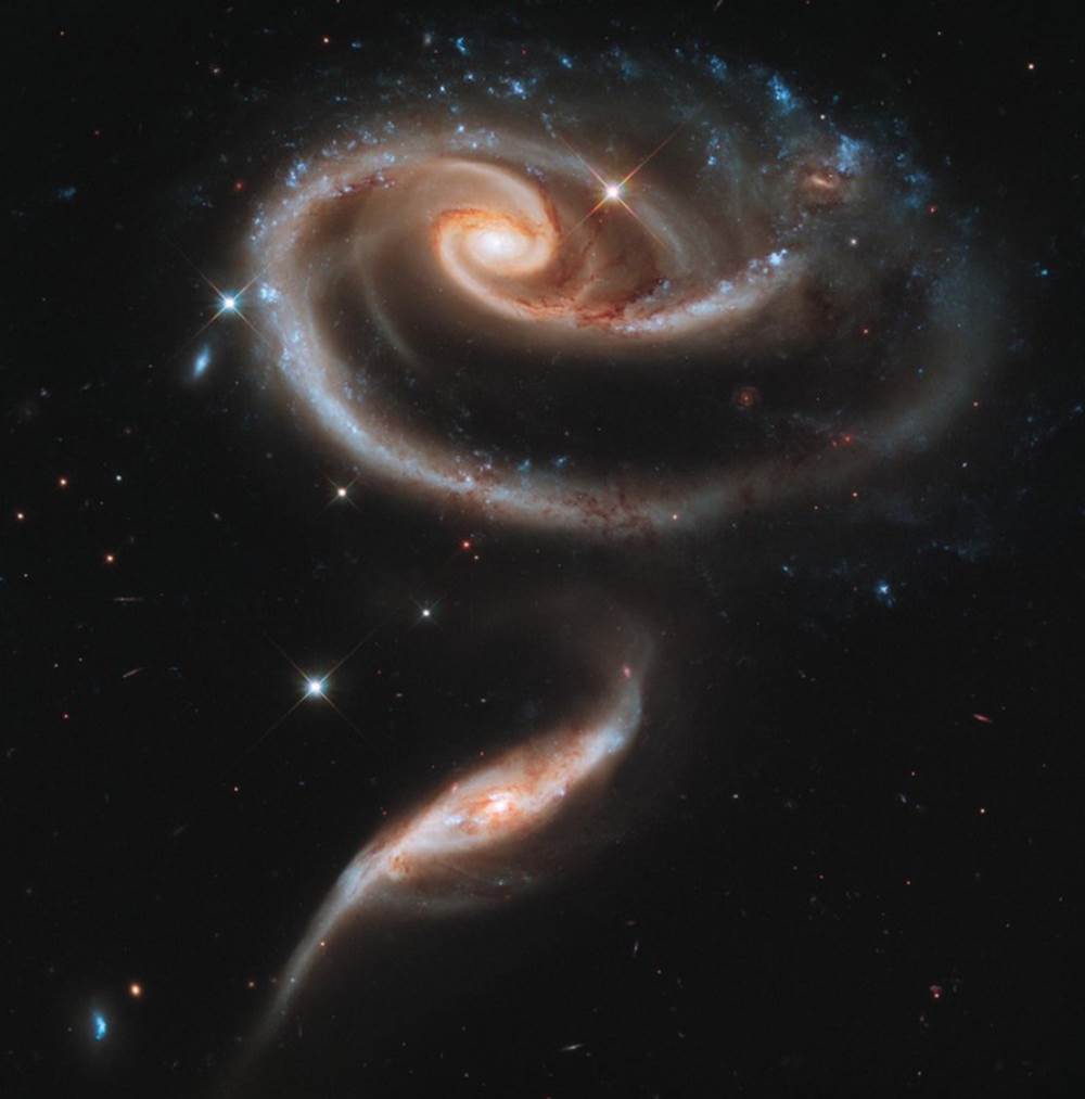 Bông hồng của các thiên hà (Rose of Galaxies) được cho là kết quả từ vụ va chạm của 4 cụm thiên hà. Những màu sắc khác nhau của 