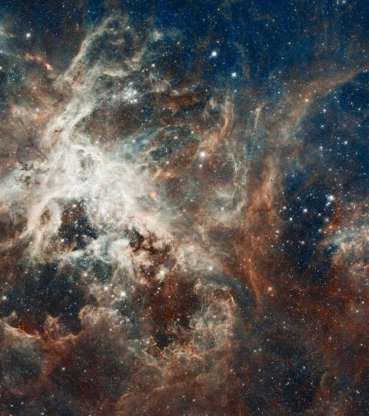 Tinh vân Tarantula hay 30 Doradus, một trong những vườn ươm sao lớn nhất trong khu vực lân cận thiên hà của chúng ta.