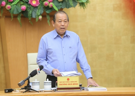 Phó Thủ tướng Trương Hòa Bình phát biểu chỉ đạo tại hội nghị. Ảnh: VGP/Lê Sơn