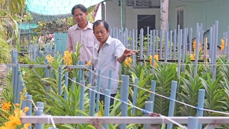 Ông Phan Văn Chẩn phấn khởi giới thiệu mô hình hoa lan cho hiệu quả kinh tế cao.