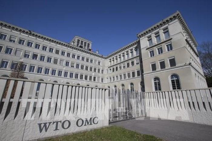 Cuộc đua vào vị trí Tổng Giám đốc WTO đã chính thức bắt đầu. 