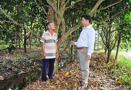  Mỗi năm, ông Nguyễn Văn Mười, ấp Nhơn Thọ 2 (bên trái), thu huê lợi từ vườn dâu Hạ Châu trên 300 triệu đồng.