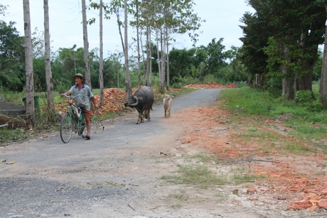 Vĩnh Long có nhiều tiềm năng về du lịch trải nghiệm nông nghiệp. 