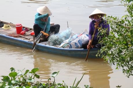 Trải nghiệm đánh bắt cá và chế biến món ăn tại chỗ hấp dẫn khách nội địa của Điểm du lịch Mekong Reverside Homestay.