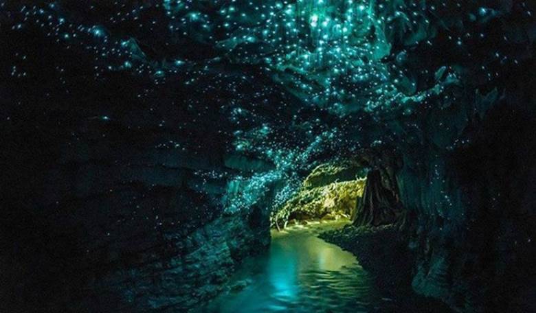 Đây là một hệ thống hang động đá vôi ở North Island (New Zealand).