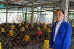 Lão nông Tiền Giang giúp hàng xóm khá lên nhờ giống gà... đặc chủng