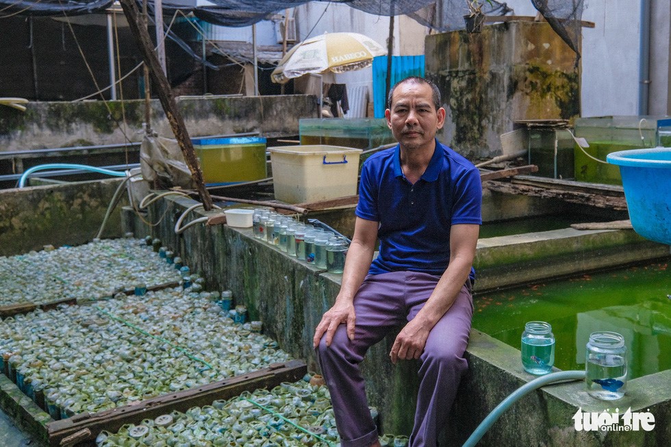 Ông Trần Ngọc Thắng, 55 tuổi, ở Ngọc Hà, Ba Đình, Hà Nội, với 20 năm làm nghề nuôi cá chọi