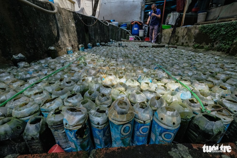 Không chỉ những chai thủy tinh, những vỏ chai nhựa bỏ đi như thế này cũng được ông Thắng dùng để nuôi cá chọi