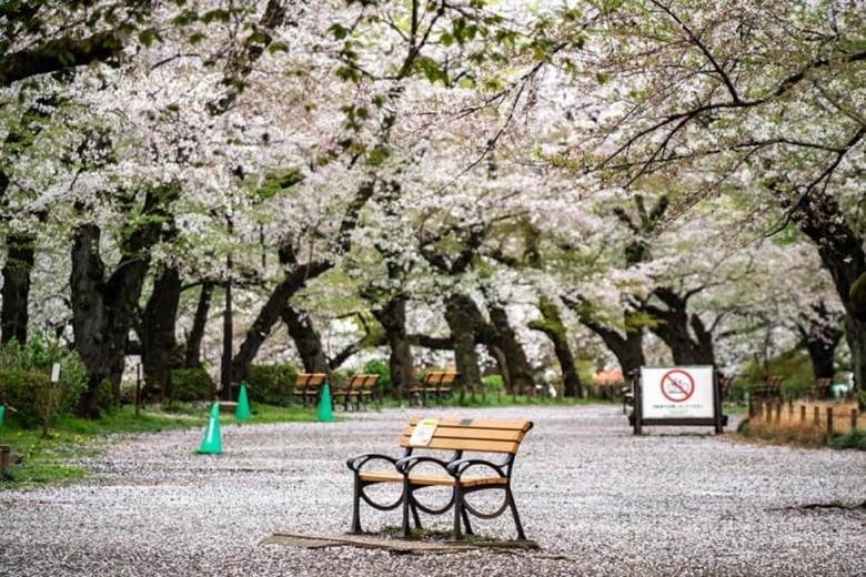 Hình ảnh trống trải trong Công viên Inokashira ở Tokyo, Nhật Bản. Nguồn: AFP