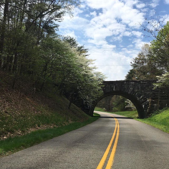 6. Blue Ridge, Mỹ ( 755 km, 717 ảnh/km)    Là một trong những điểm đến nổi tiếng nhất ở Bắc Carolina, Blue Ridge là cung đường nối liền cao và dài nhất ở khu vực Appalachian. Phía dưới con đường là cảnh quan thiên nhiên tươi đẹp, mang đến trải nghiệm đặc biệt cho bất cứ tài xế nào khi tới đây. Vào mùa thu, Blue Ridge Parkway trở nên thơ mộng hơn bao giờ hết với khung cảnh rực rỡ tràn ngập sắc vàng, đỏ, nâu của mùa cây thay lá. (Ảnh: @kgibsoncromer).