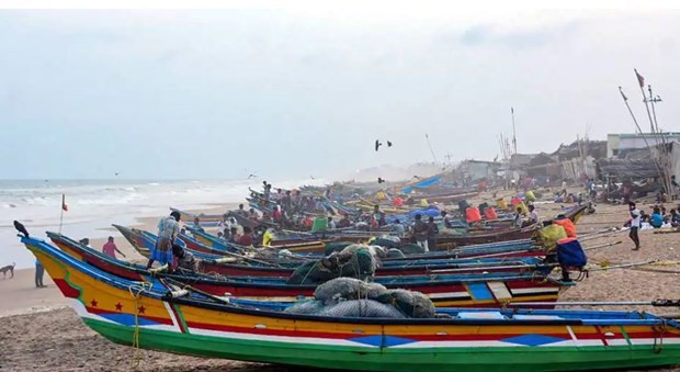 Người dân đưa thuyền vào bờ tránh bão. (Nguồn: PTI)