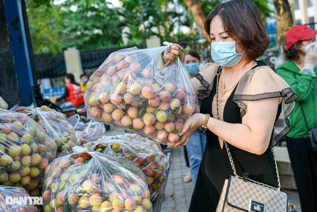 Người Hà Nội hỗ trợ tiêu thụ vải thiều Bắc Giang (Ảnh: Khôi Vũ).