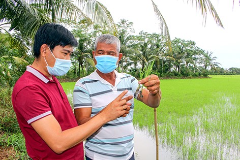 Cán bộ kỹ thuật xã cùng nông dân thường xuyên thăm đồng, giúp người dân chăm sóc lúa tốt hơn.