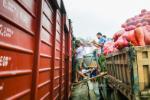 10 toa tàu vận chuyển hơn 300 tấn lương thực, vật tư y tế của tỉnh Hòa Bình hỗ trợ TP. Hồ Chí Minh