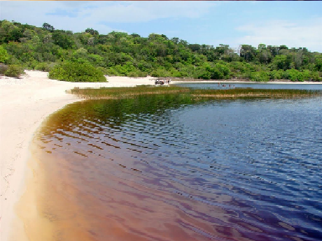 Nhìn vào nước của hồ, có thể dễ dàng hiểu được lý do tại sao nó được biết đến với cái tên phổ biến là hồ Coca Cola. Nước ở đây có một màu sẫm như màu caramel và nhạt dần về phía bờ. Hiện tượng kỳ lạ này được cho là do nồng độ khoáng chất iodine và sắt trong nước, cùng với sắc tố của những bụi lau sậy mọc gần bờ (Ảnh: Brol).