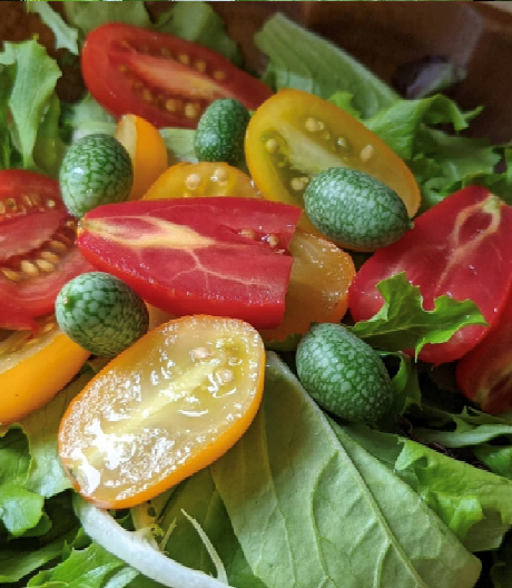 Quả có thể rửa sạch và ăn trực tiếp, ngâm chua hoặc cắt nhỏ cho vào món salad (Ảnh: 9a_bythebay).