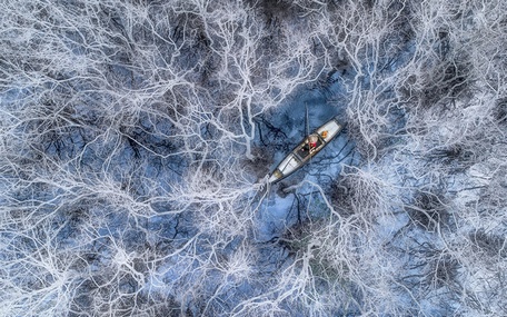  “Đánh cá ở rừng ngập mặn” (Phạm Huy Trung), tác phẩm đứng nhất hạng mục Con người của cuộc thi Drone Photo Awards 2021. (Ảnh: Drone Awards 2021)