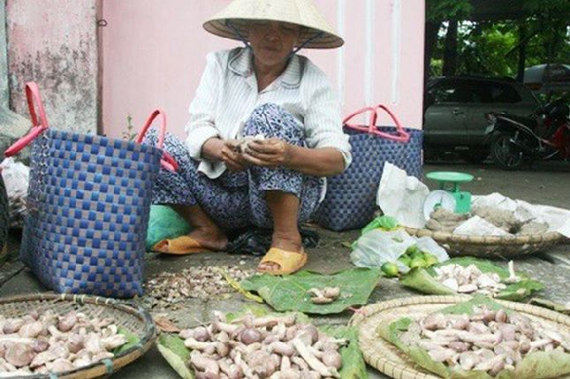 Dễ dàng nhìn thấy nhiều tiểu thương bày rổ bán nấm tràm ở vỉa hè, khu chợ lớn nhỏ tại Huế. Có 2 loại nấm tràm là nấm chưa gọt vỏ và nấm đã gọt vỏ (Ảnh: Đại Dương).