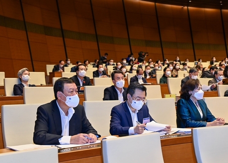 Các đại biểu tham dự phiên họp. Ảnh VGP/Nhật Bắc