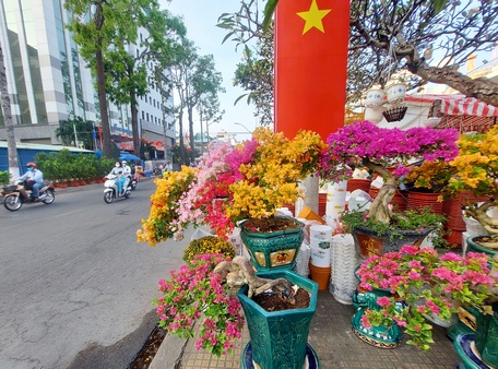 Hoa giấy hút hàng dịp Tết Nguyên đán Nhâm Dần 2022.