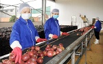 Cách làm mới trong xuất khẩu nông sản sang Trung Quốc